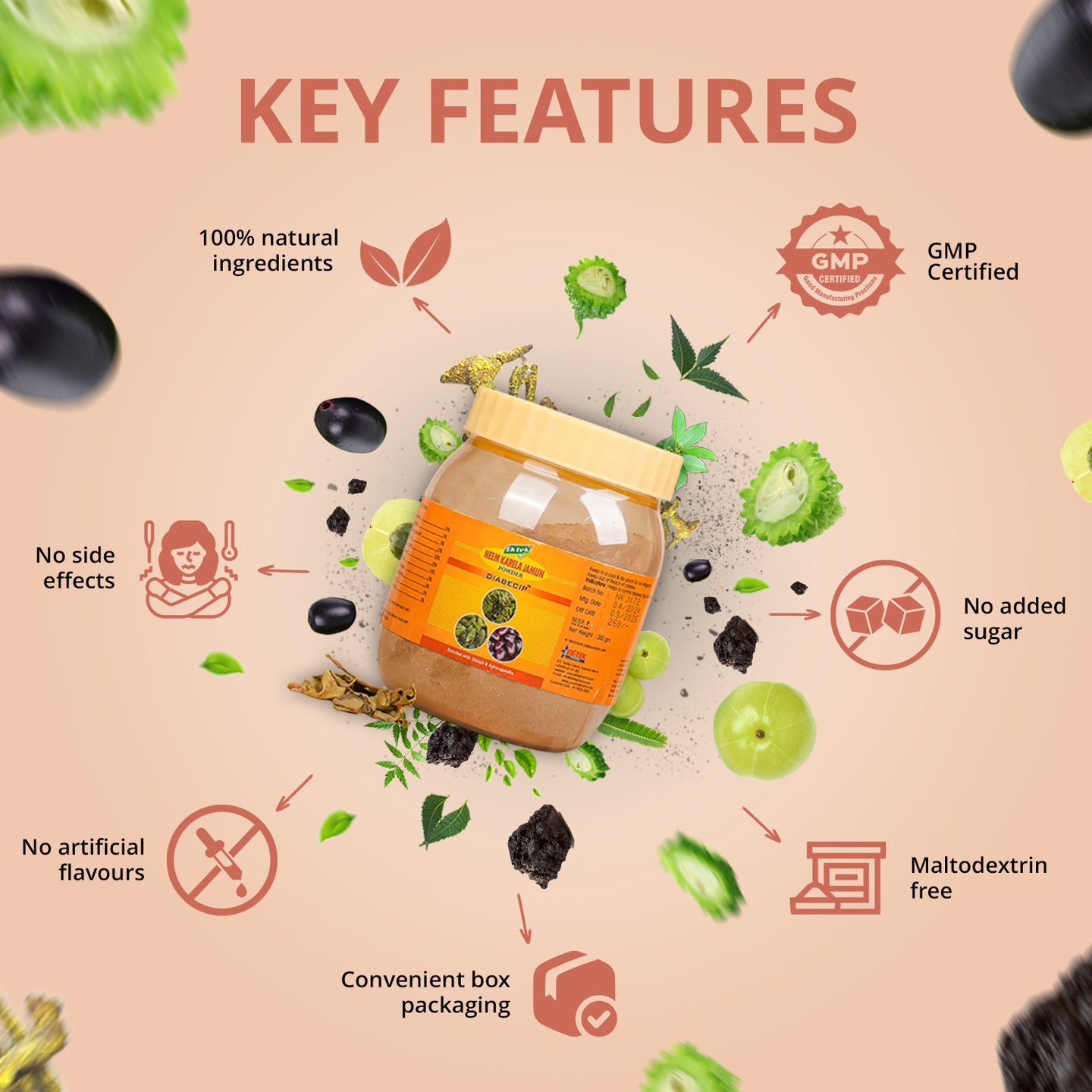 Key features written with a box of karela jamun powder in the middle